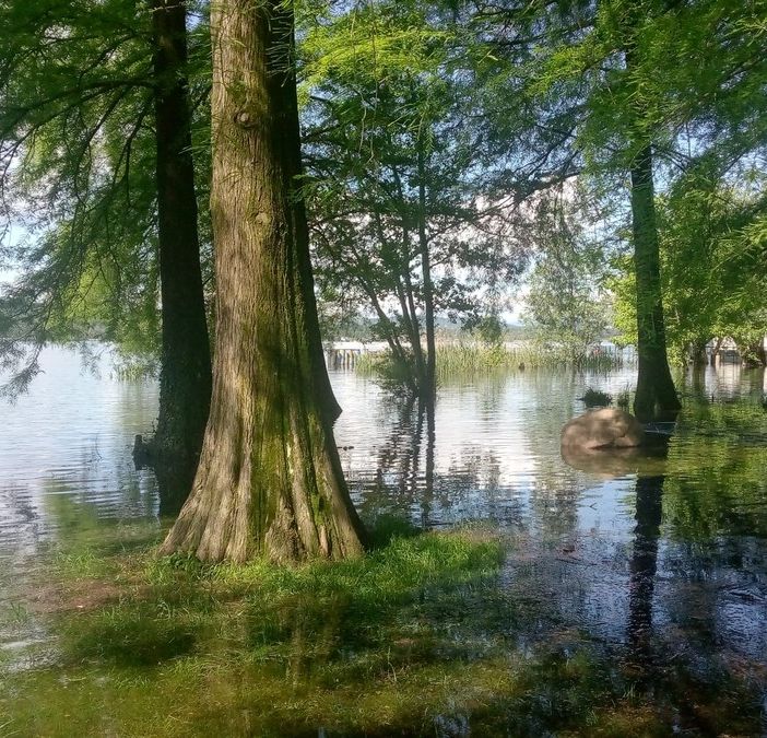 Gli effetti dell'esondazione del lago di Varese alla Schiranna
