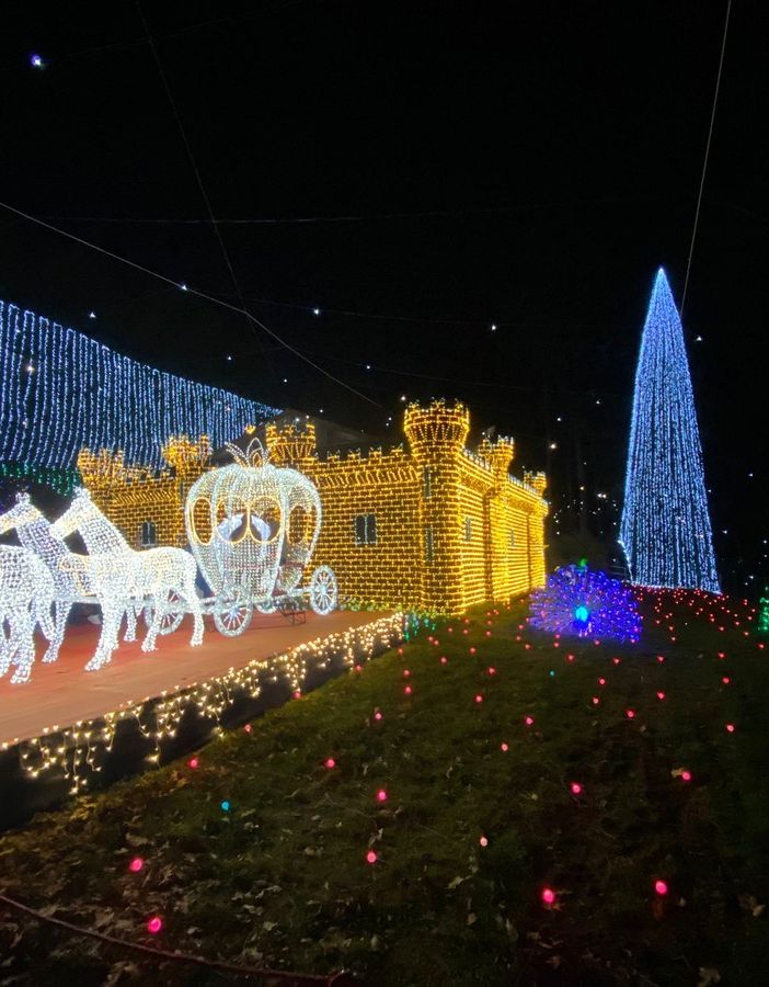 FOTO. Si alza il sipario sulle Lucine di Leggiuno: settecentomila led e una magia unica per un Natale spettacolare