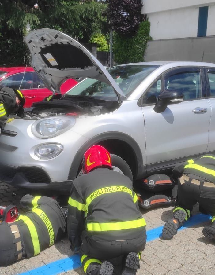 Sesto Calende, gattino incastrato nel motore dell'auto. Per liberarlo servono i vigili del fuoco