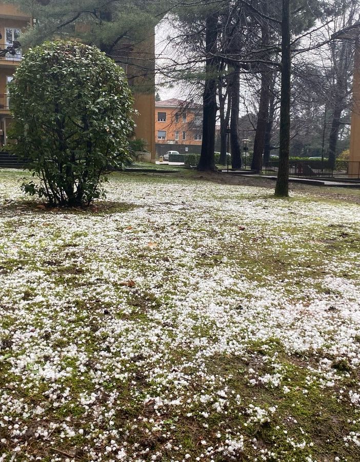Un prato a Bizzozero dopo la grandinata di oggi, giovedì 13 marzo