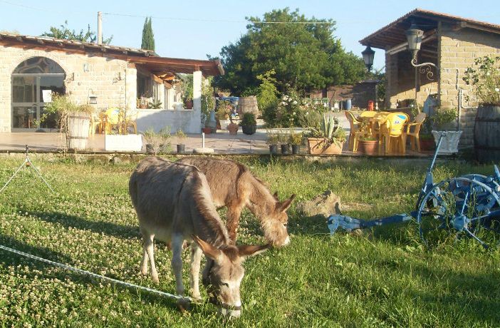 Pasqua, nel Varesotto agriturismi pronti all’accoglienza con pranzi e alloggi nel verde
