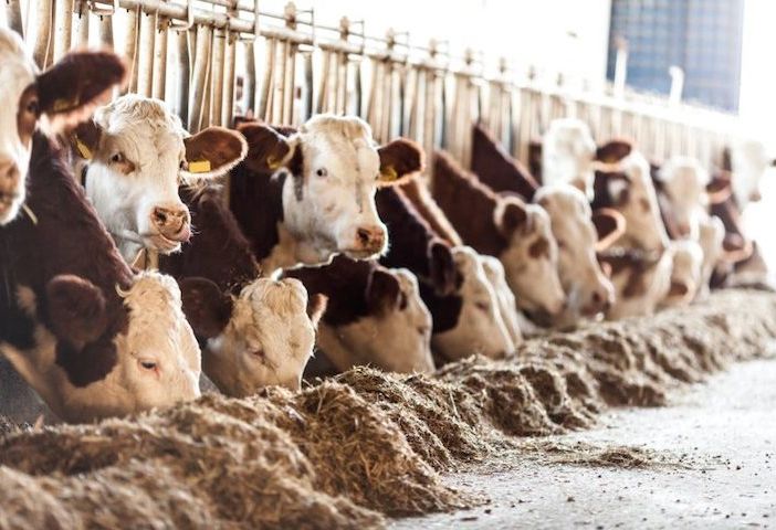 Coldiretti Varese: «Via alle prime misure chieste dall’agricoltura per affrontare la crisi»
