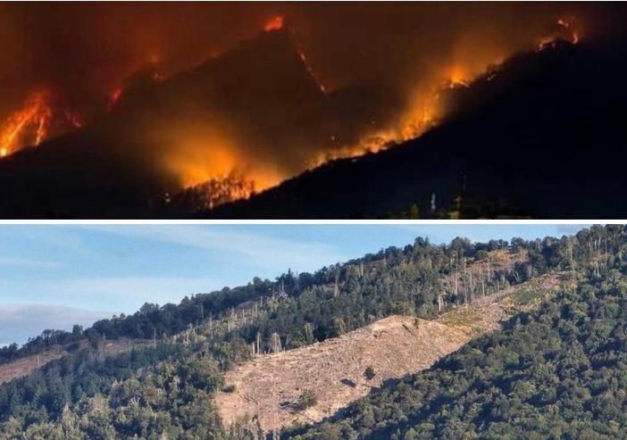 IERI E OGGI. Il Campo dei Fiori in fiamme sette anni fa e come lo ritroviamo oggi negli stessi punti devastati dall'incendio nelle immagini di Alessandro Umberto Galbiati