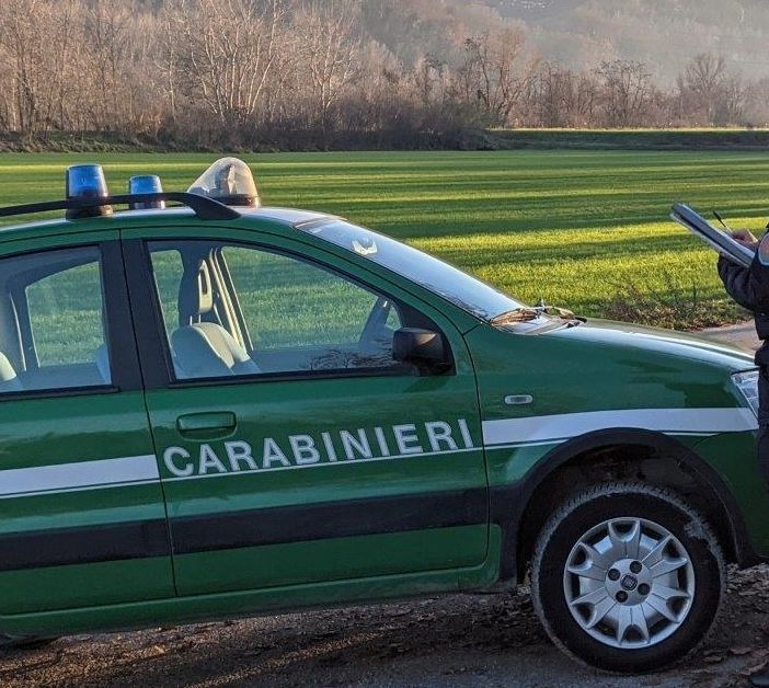 (foto generica d'archivio)