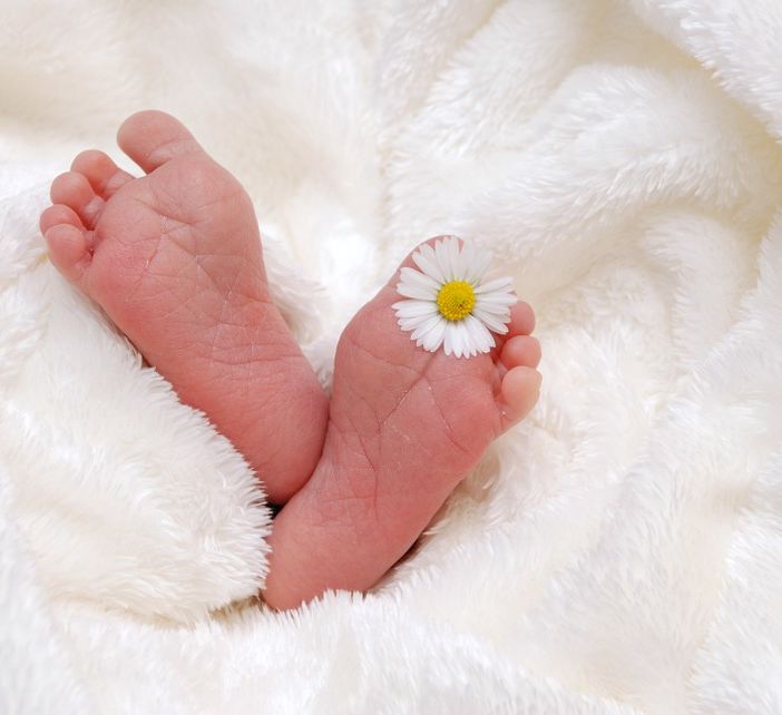 Record di nati ieri al Del Ponte: 18 bambini vedono la luce in 24 ore