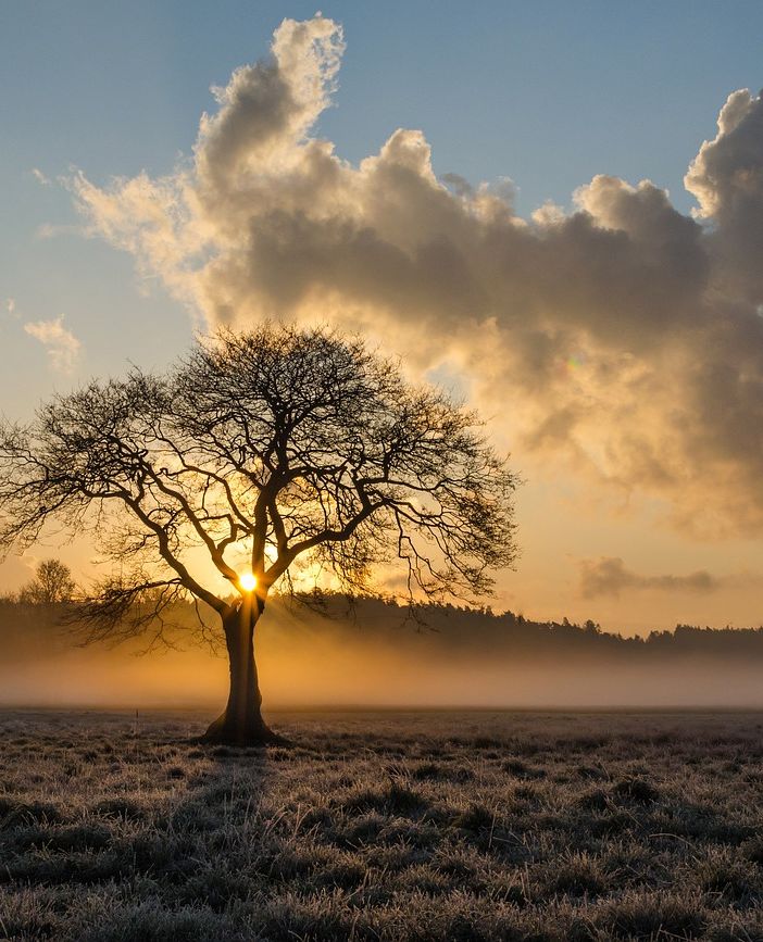 Quando arriva l'autunno? Da sabato con vento e crollo delle temperature minime