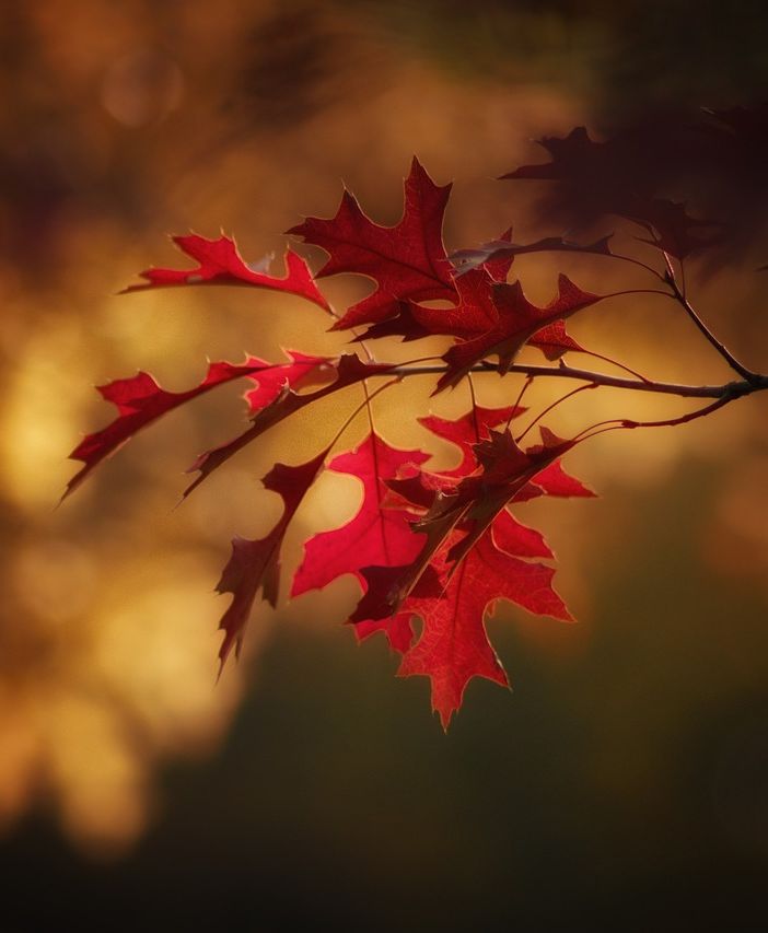 Nulla di nuovo sotto il sole d'autunno: bel tempo e temperature miti in giornata