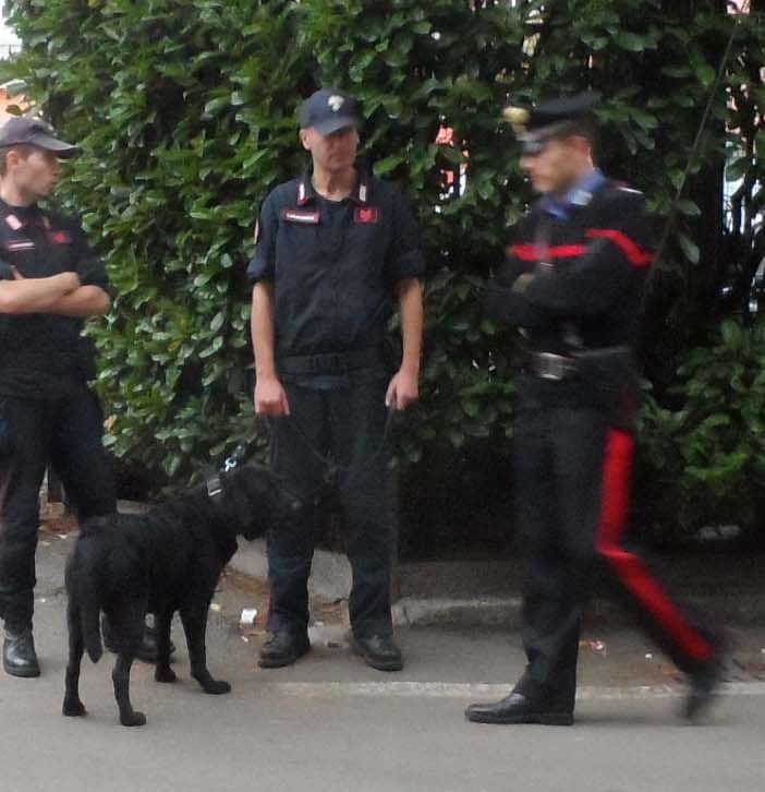 I carabinieri salvano due cani dagli spacciatori nel bosco