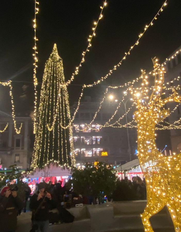 Nella foto di copertina e nella gallery sotto l'articolo il via al Natale varesino