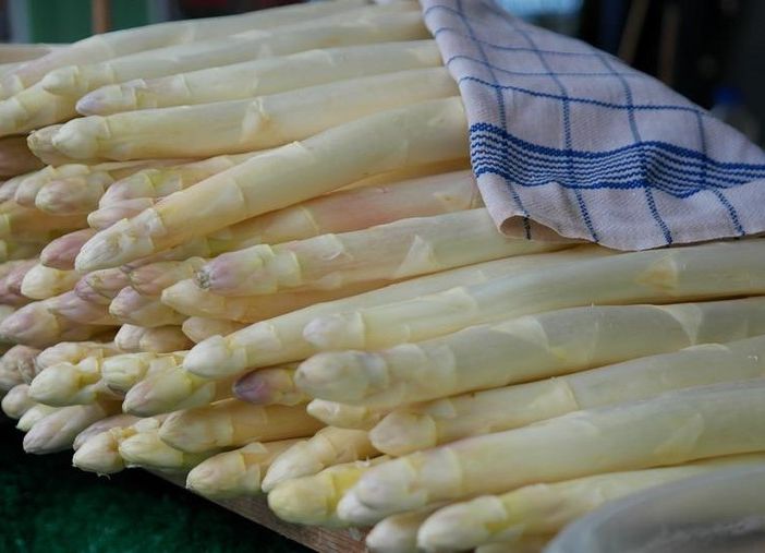 I tipici asparagi bianchi di Cantello