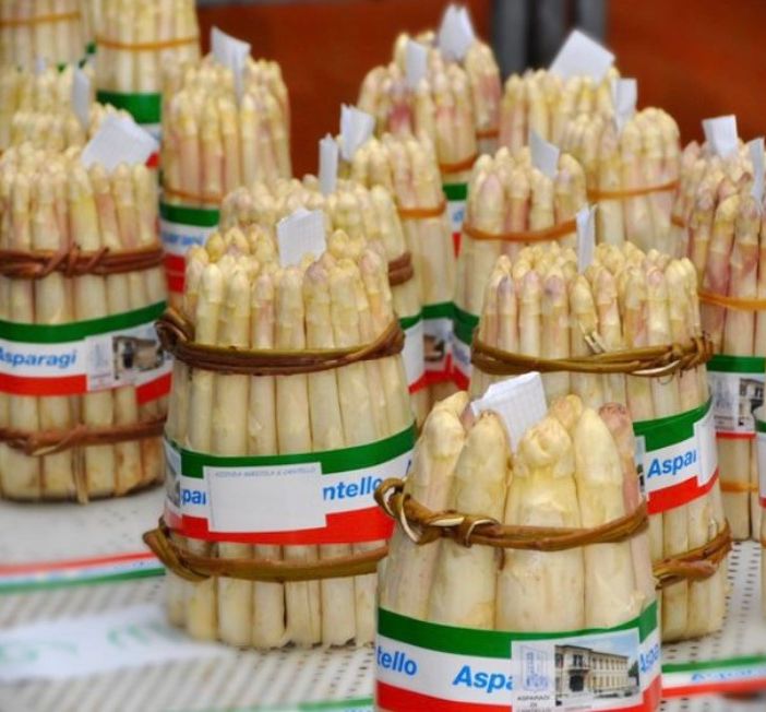 Scatta stasera la Fiera dell’Asparago di Cantello: il programma completo dell’ottantaduesima edizione