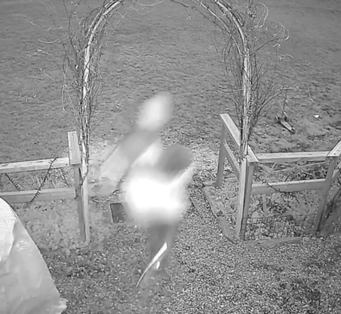 La fuga di uno dei due ladri ripresa dalla videosorveglianza