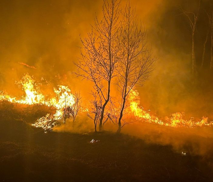 Incendio nella notte nei boschi del Verbano Cusio Ossola