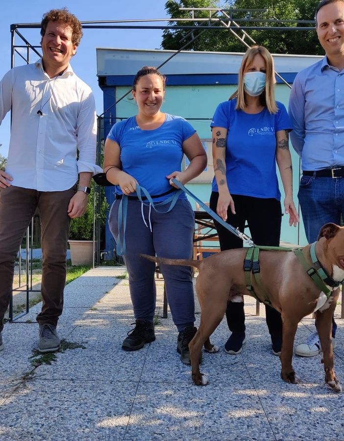 Bianchi in visita al canile di Varese: «Situazione non più procrastinabile»