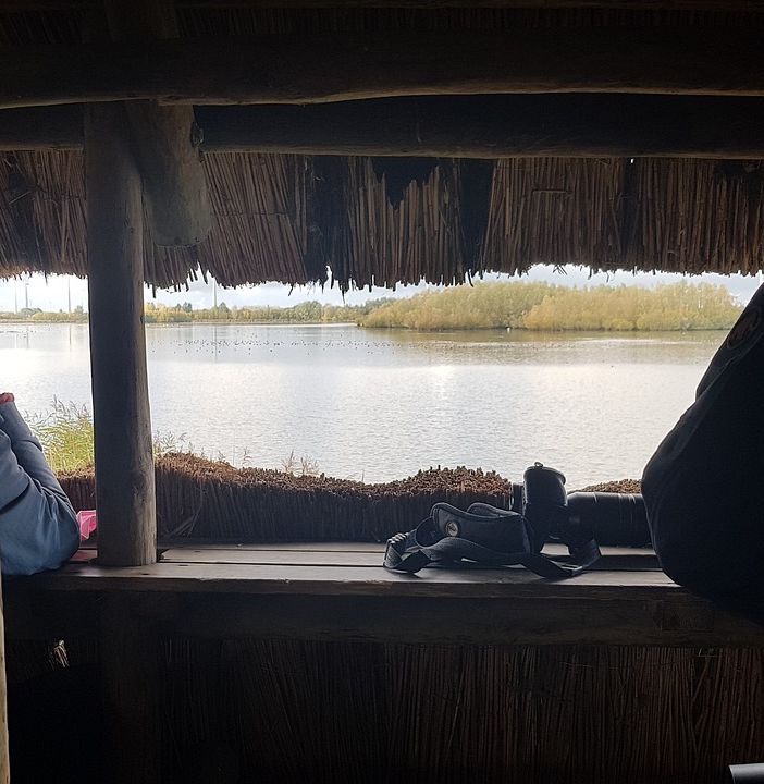 Birdwatching in Villa Cagnola