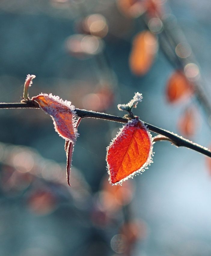 Aria artica e gelate. L'inverno bussa alle porte del Varesotto