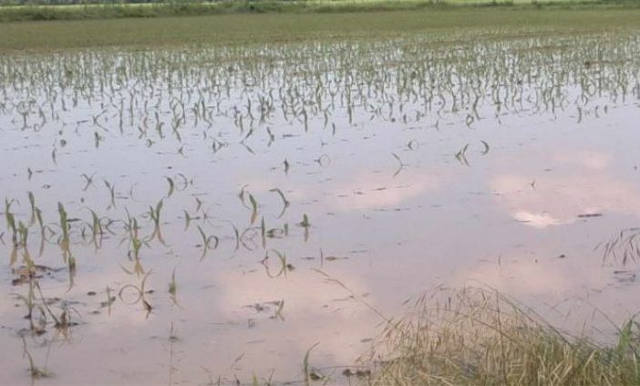 Maltempo, Coldiretti fa la conta dei danni: «Varesotto nella morsa, in Lombardia 70 eventi estremi»