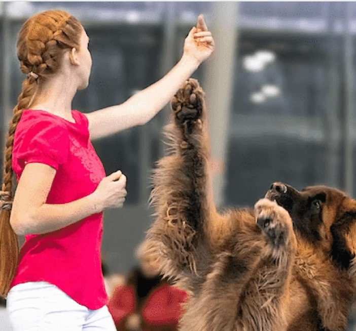 foto per cortesia di Petsfestival