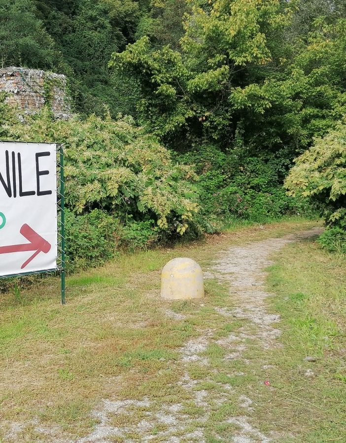 Canile, deserto il bando per il nuovo rifugio. Lega del Cane: «Non era sostenibile»