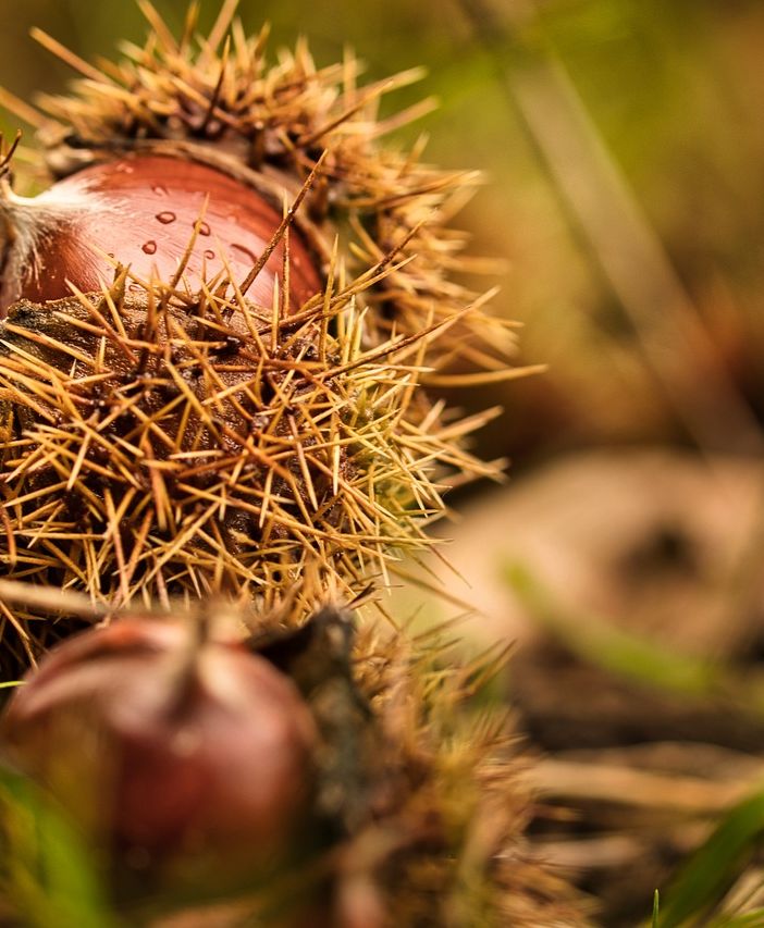 Autunno? No, fine settembre come un'eterna estate: sole e massime a 25 gradi per una settimana