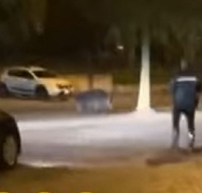 Cinghiale nel parcheggio dell'Esselunga di Masnago