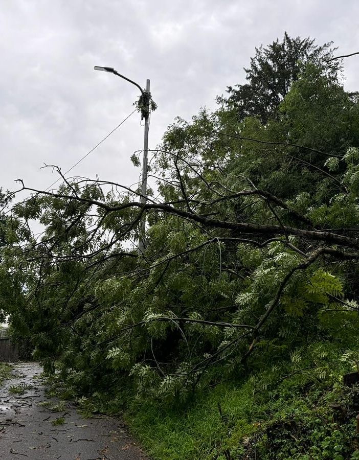 Le foto postate da Cosentino dalla strada provinciale 29, da Valganna a Cuasso al Monte, «chiusa per via delle sponde crollate» Le foto postate da Cosentino dalla strada provinciale 29, da Valganna a Cuasso al Monte, «chiusa per via delle sponde crollate»