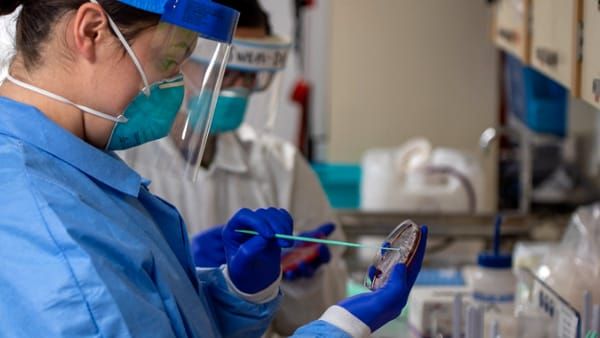 Scoperto a Lodi il primo caso di Dengue in Lombardia