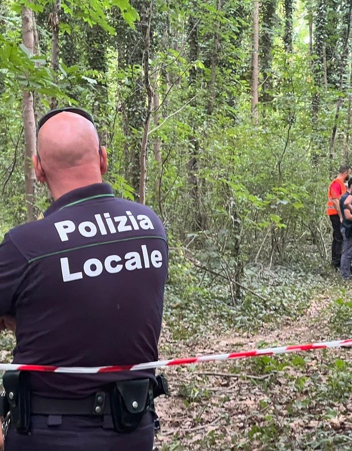 Conservazione e sviluppo: la sfida in via Curtatone. Il futuro del boschetto resta incerto