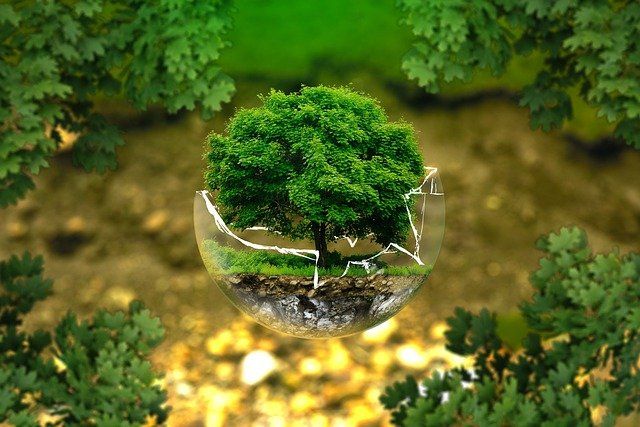 Design ed ecologia? Bello senza spreco