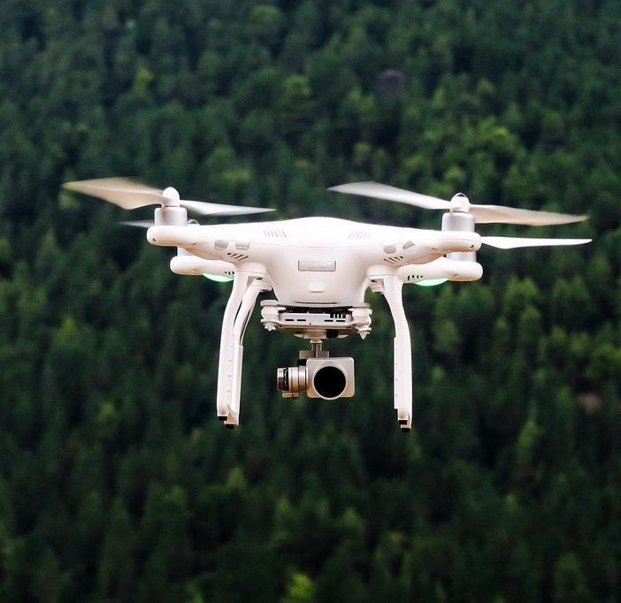 Volo in area protetta e disturbo della fauna: multa da oltre mille euro per due piloti di droni