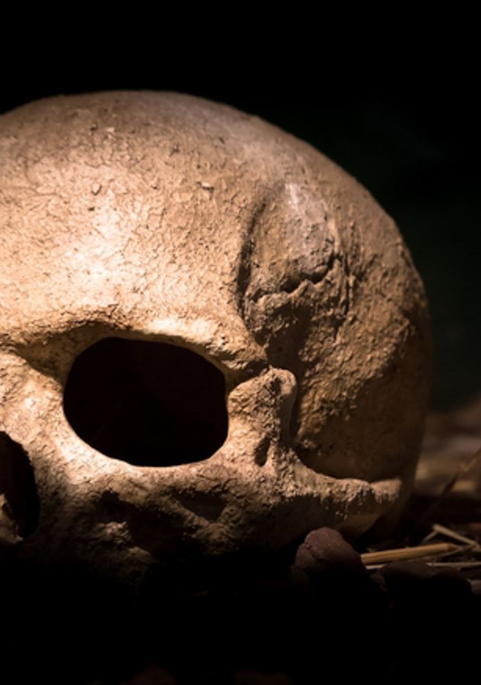 Escape Room Horror, quando la paura diventa realtà