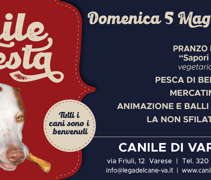 Al canile di Varese una domenica di festa, buon cibo e tanto amore per gli amici pelosi