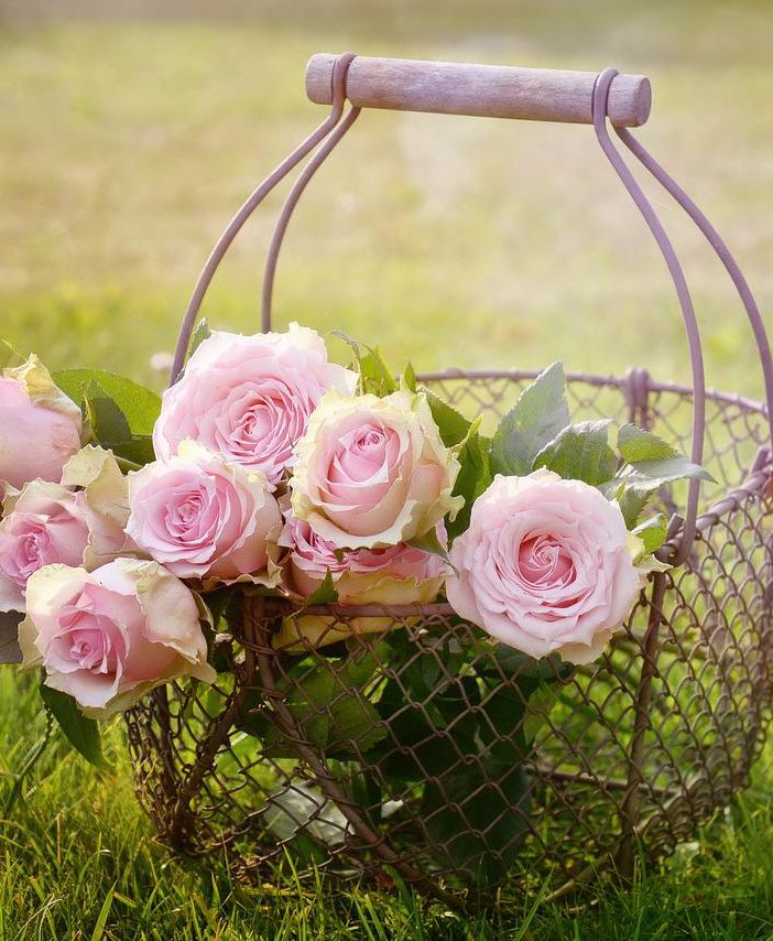 Fioriere da giardino: la guida completa all’acquisto