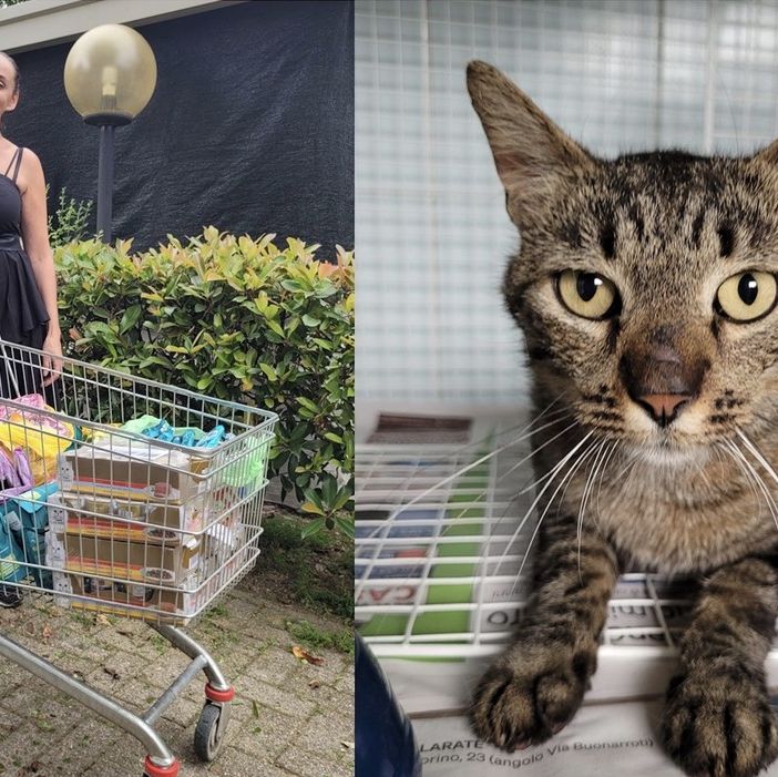 Elisa ha donato le pappe con Paola. A lato Oscar, un micio del gattile di Legnano