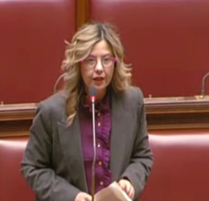 Peste suina, Gadda: «Da Governo risposta da burocrati»