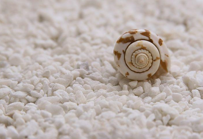 GreenLife: vanno in scena i profumi per il nostro benessere