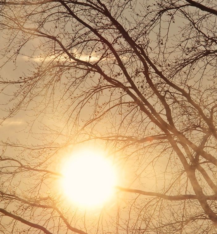 Godiamoci il sole e la giornata mite. Da sabato nuvole e piogge la faranno da padrone
