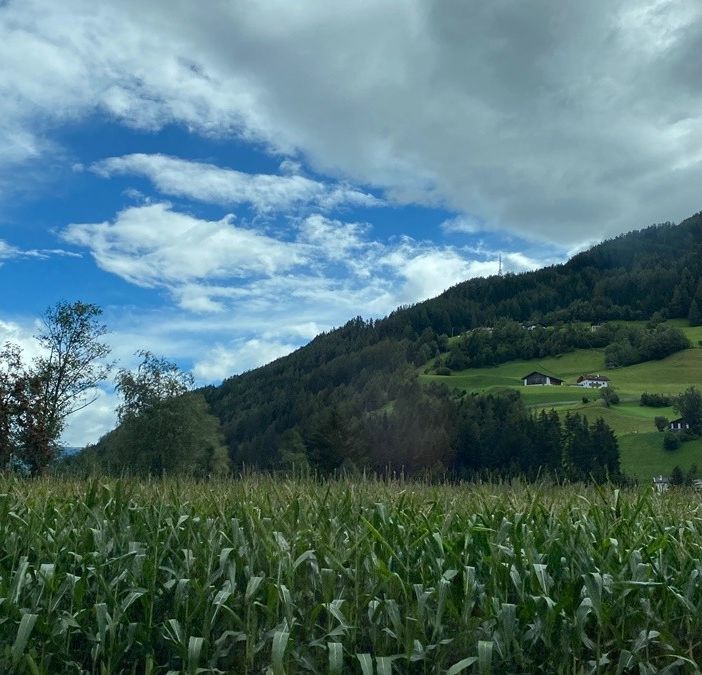 Hotel Pfösl, trascorri una vacanza rilassante sulle Dolomiti