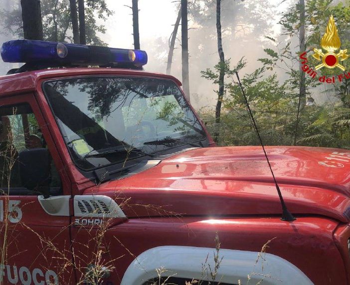 Spento l'incendio al Parco Pineta. In fiamme cento metri quadri di sottobosco
