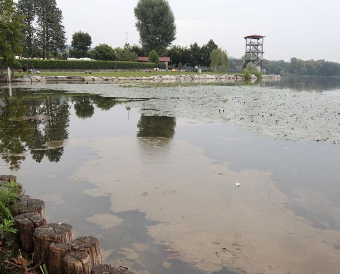 Lago di Varese inquinato dalle alghe: rinnovata la non balneabilità