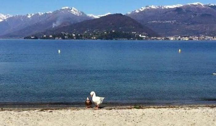 Sicurezza laghi: da Varese a Comabbio e Ghirla, da Monate al Maggiore e al Ceresio, la Regione stanzia 72mila euro per i nostri bacini