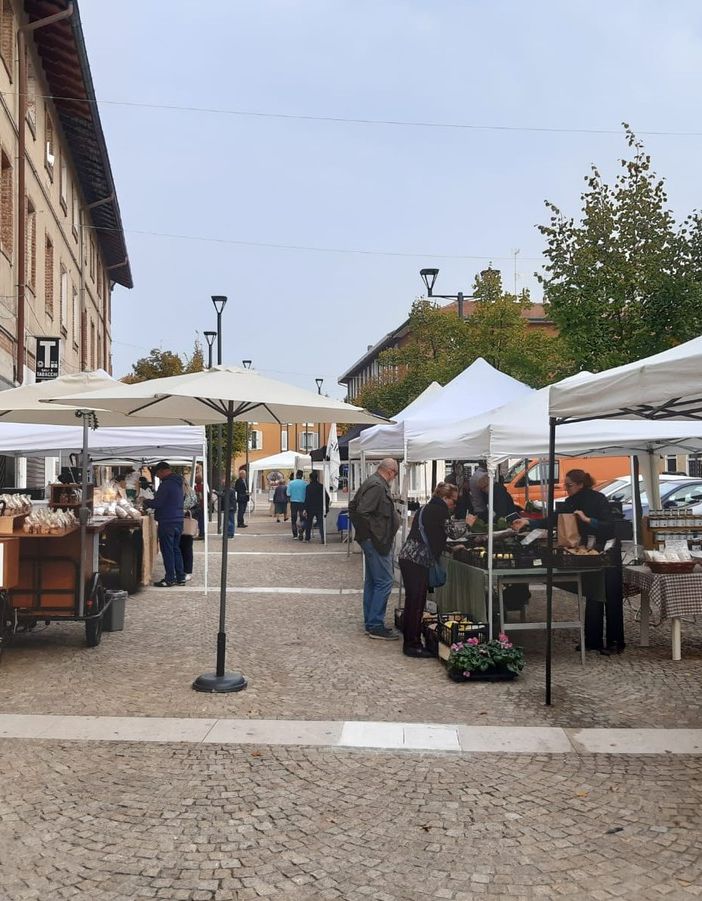 Mercato Contadino a Canegrate domenica 3 settembre