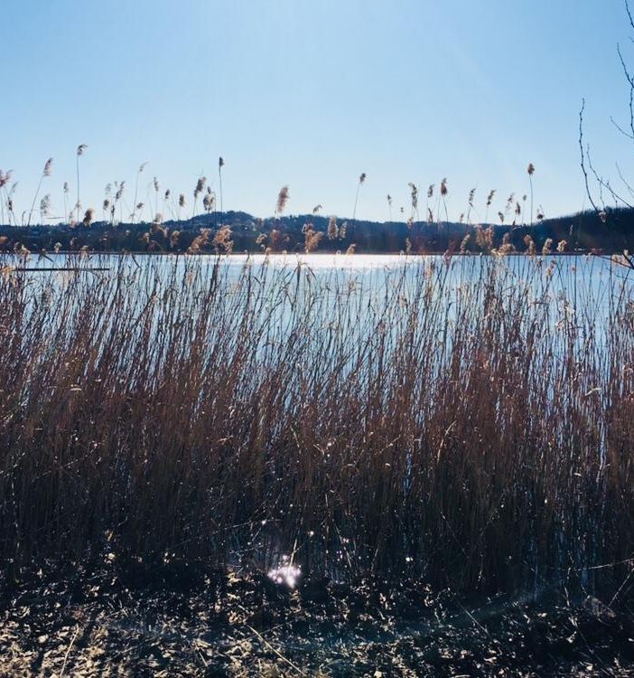 METEO. Una domenica di sole splendente sul Varesotto. Ma martedì tornano pioggia e freddo