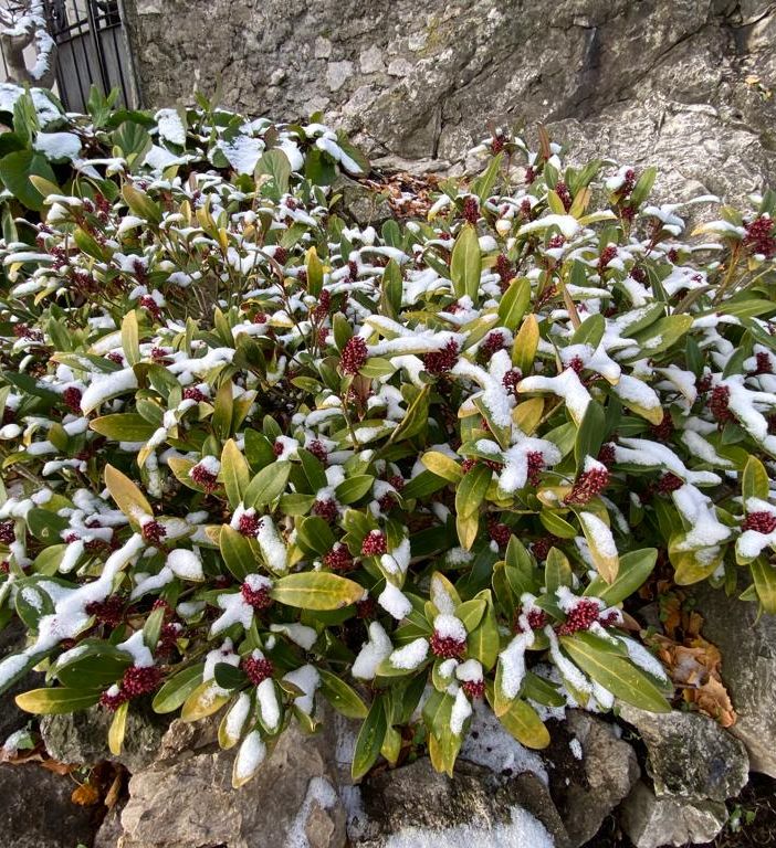 Le previsioni dell'Immacolata: venerdì pioggerella o nevischio, weekend con il sole