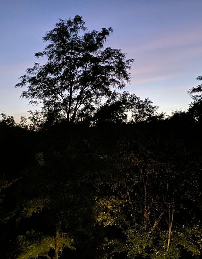 È notte in provincia di Varese, ma il cielo resta chiaro e la temperatura elevatissima