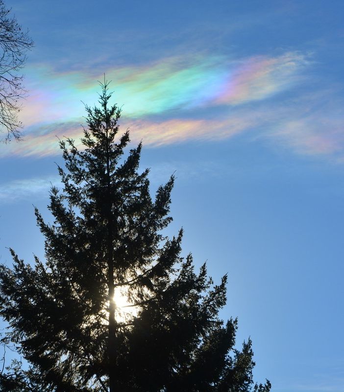 Nubi iridescenti nei cieli della provincia di Varese (foto tratta dalla pagina Facebook ufficiale del Centro Geofisico Prealpino) Nubi iridescenti nei cieli della provincia di Varese (foto tratta dalla pagina Facebook ufficiale del Centro Geofisico Prealpino)