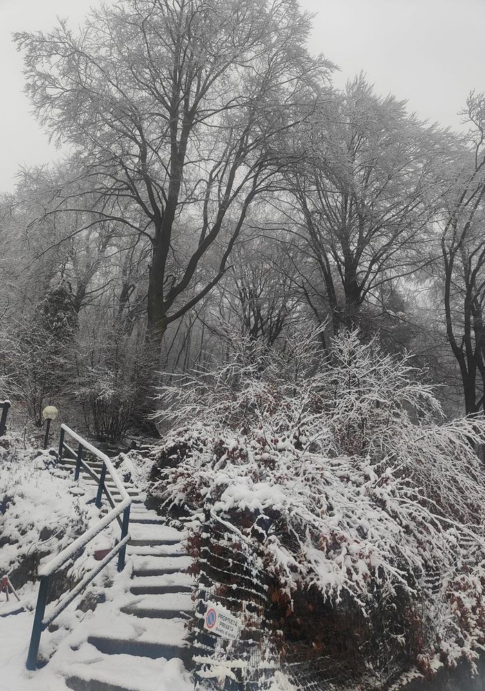 Le foto del Campo dei Fiori innevato grazie al nostro inviato Olgher