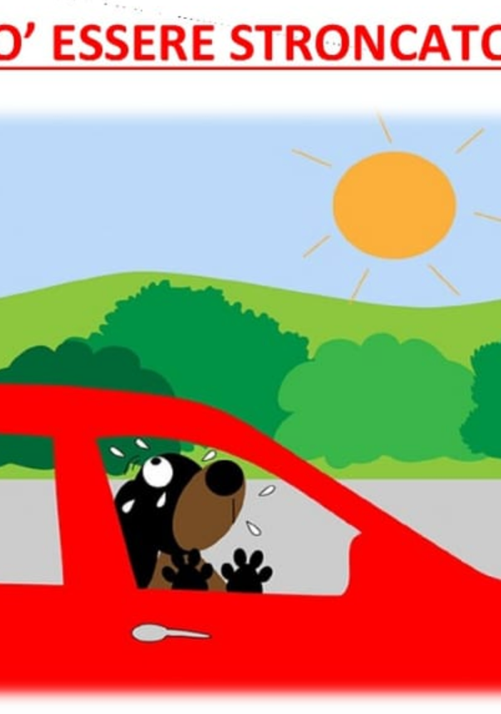 «Non lasciate il cane in auto con questa afa: non ci faremo problemi a rompere i finestrini»