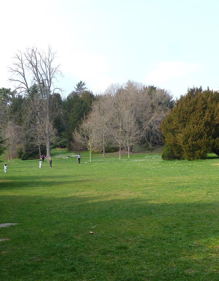 Parco Mantegazza, via libera al chiosco a chilometro zero «che parlerà del territorio»