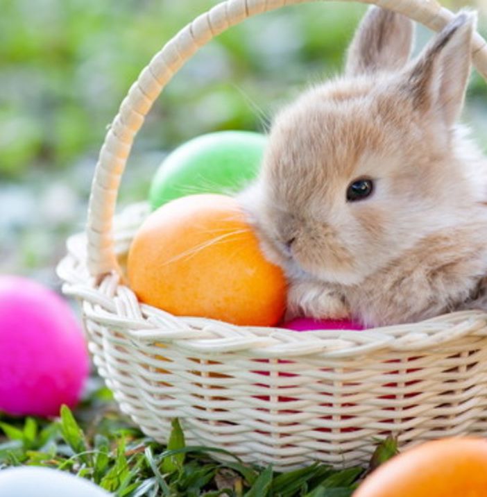 A SPASSO NEL WEEKEND. Uova, street food e caccia al tesoro. Ecco cosa fare nel fine settimana di Pasqua